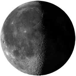 Moon Phase: Waning Gibbous