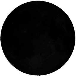 Moon Phase: New Moon